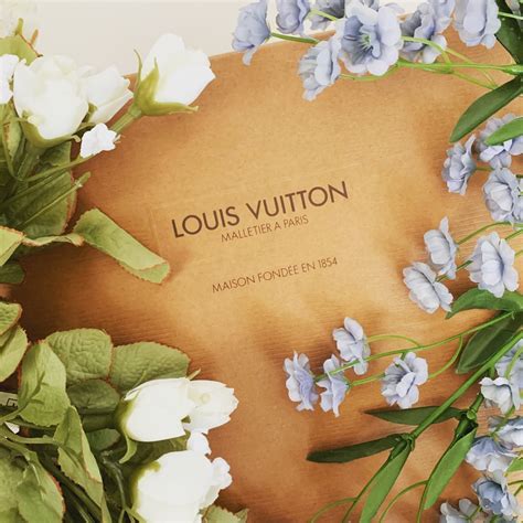 louis vuitton insegna parigi|lv dream louis vuitton.